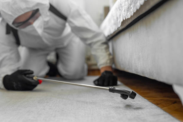 Professional Termite Control technician working in Derwood, MD