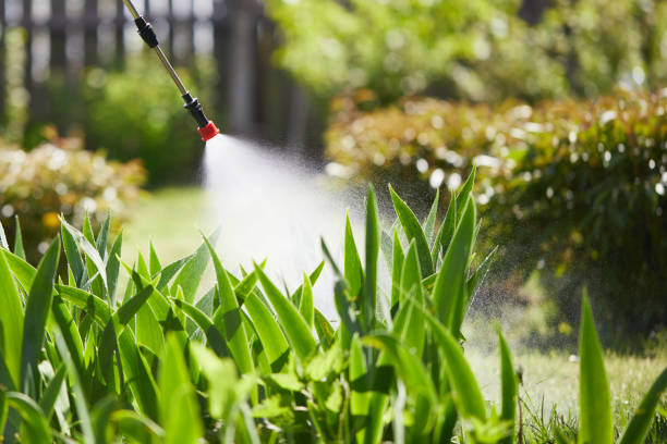 24/7 Emergency Termite Control experts in Derwood, MD