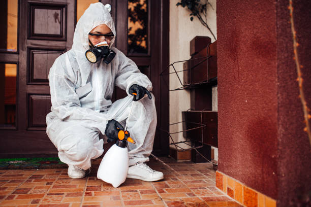 Reliable Termite Control contractor in Derwood, MD by Nex Pest Control